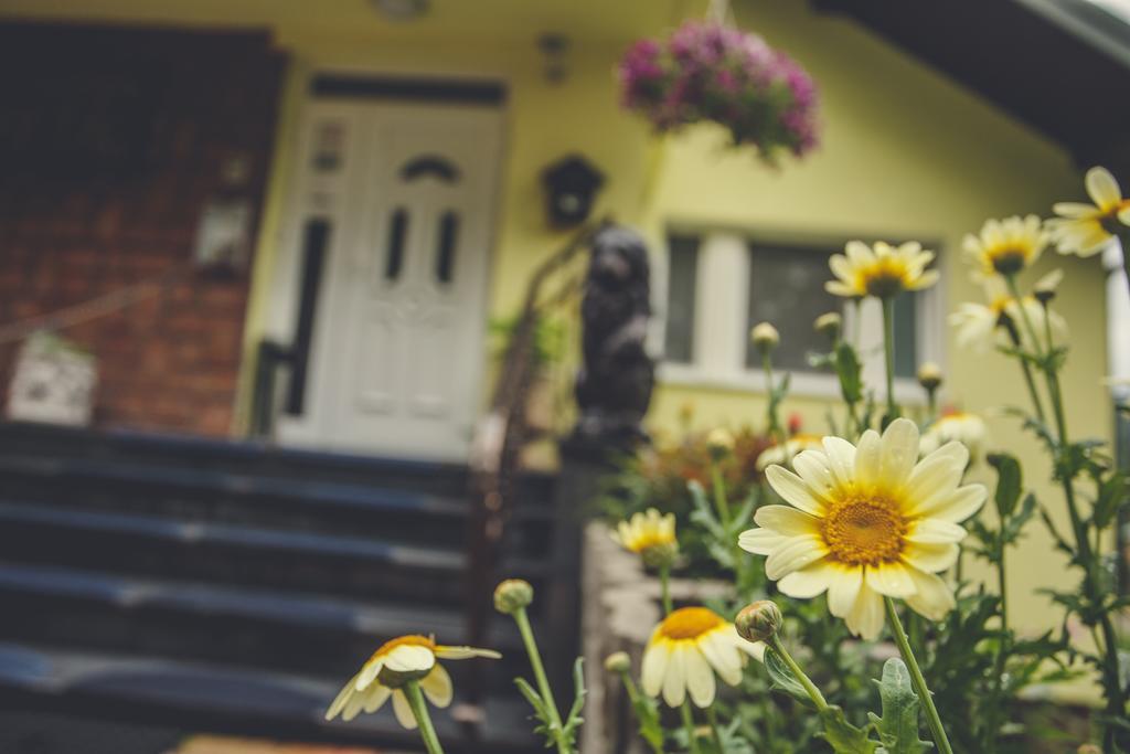 Penzión Kolibrík Bardejovské Kúpele Exterior foto